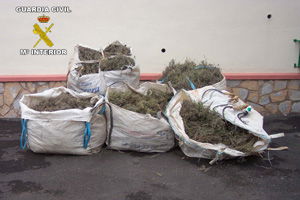 TOMILLO_web TOMILLO_web