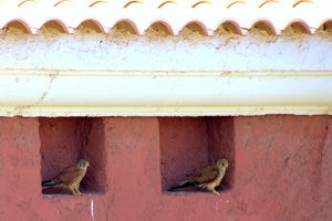 DSC_1938_web DSC_1938_web