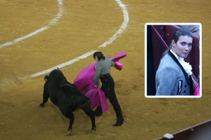 bullfighting_web bullfighting_web