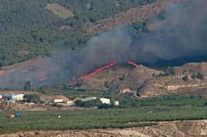 olula-fire3_web olula-fire3_web
