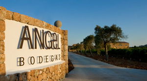 Bodegas-Angel_web Bodegas-Angel_web