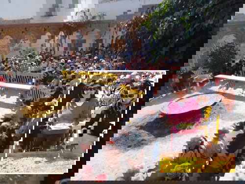 diadeandalucia diadeandalucia