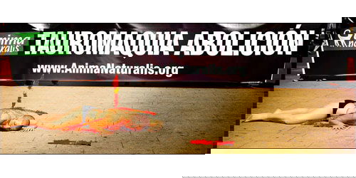anti-bullfighting anti-bullfighting