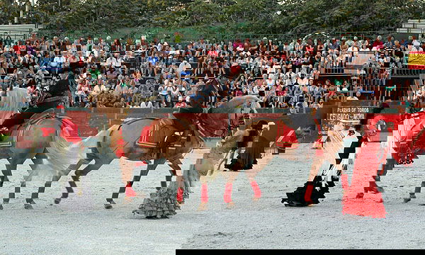 78531f2e749b69ba6972a5ac24f03d07