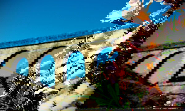 bc7c4029dc7165be934a991ff50fec4f