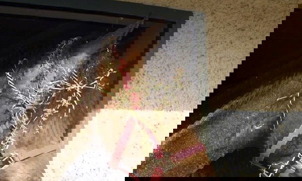 0ec785186574be5d8fdea101e7b80b94