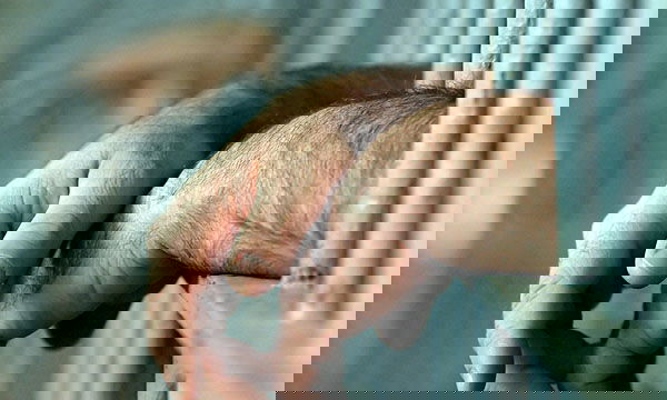 6e78a4a8f8ac30c0a65d9c4cb384c9c0