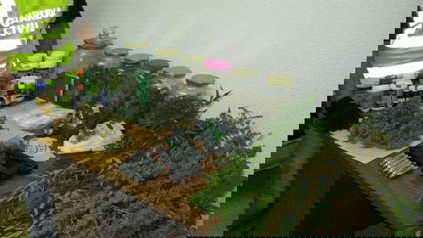 a37267a7a29bfca150a7f0400e8f16ae