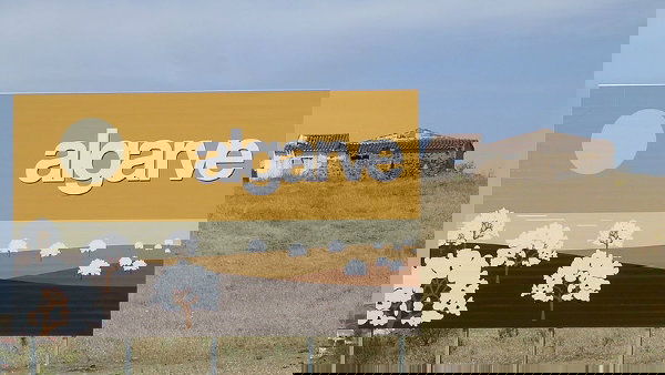 db3fcbc3e58e9755ef4130b41835e850