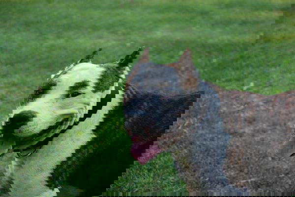 1b614a4aa5967f060c5418cd38c1edf3