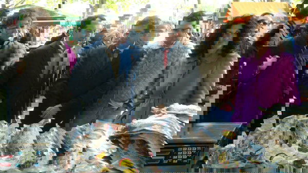 5f3136f490062baeac3f0e6f0b655c24