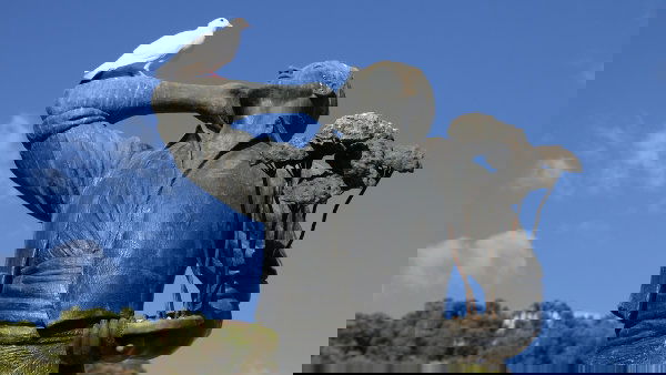 89ef65d0df1feefe2e6b57bae1d3fa23
