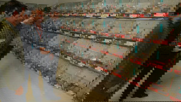 a4615d6df0800440b3b376cfe8a2c2e4