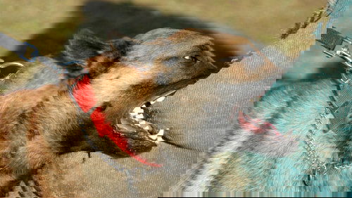 150a3d694fa0830fc76a46face89ad33