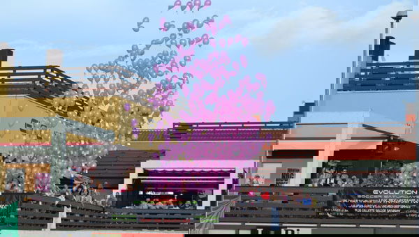 e4849c87e0df12dfb1c2934b16670955