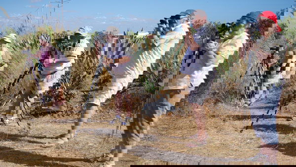 f8f840a906429e9756a6ba23c885d20d