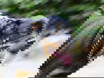 9447cc26cd7fb3f0695234ddcbaea36b