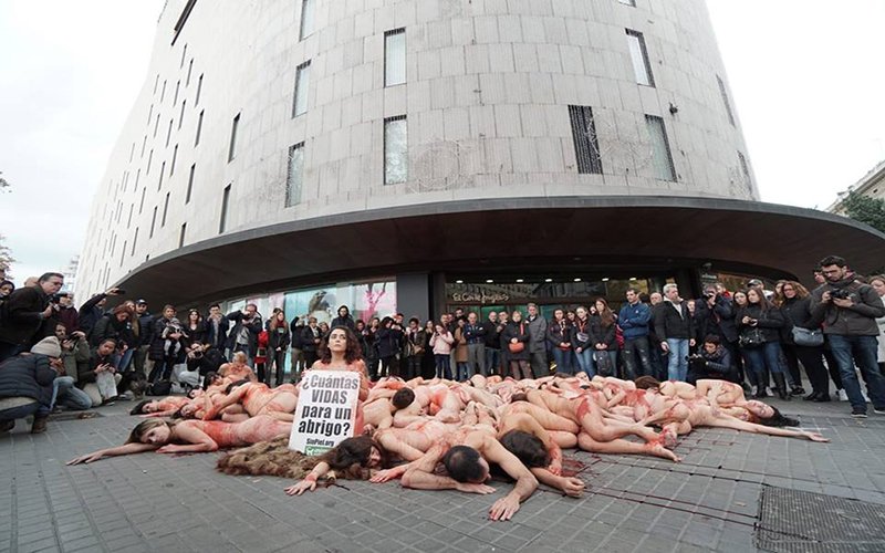 Naked protest by animal rights activists