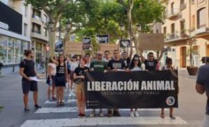 Animal rights protest
