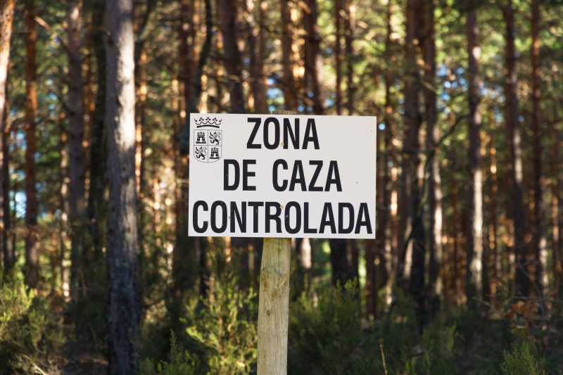 Deer poaching wi image