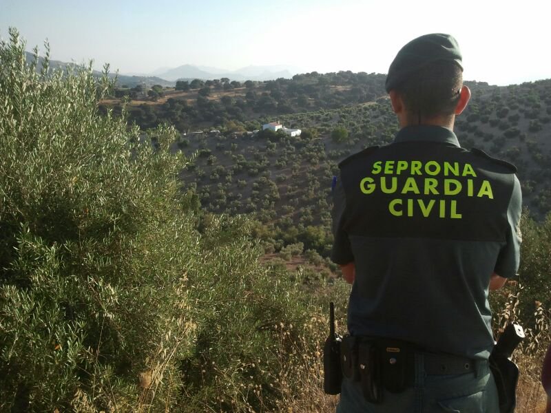 Guardia Civil detiene a una mujer “en el acto” en Zamora intentando provocar un incendio forestal «Euro Weekly News