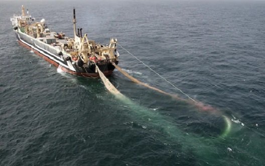 سوپراولیرهای اتحادیه اروپا از ماهیگیری در آبهای انگلیس منع خواهند شد