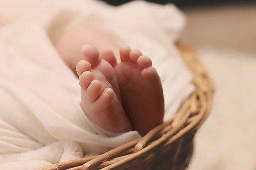 Newborn found abandoned in a shed in the middle of a field