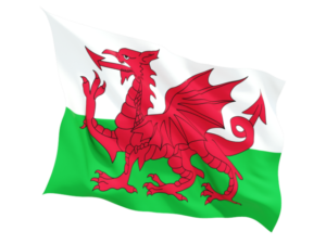 the welsh flag