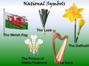 some traditional welsh items