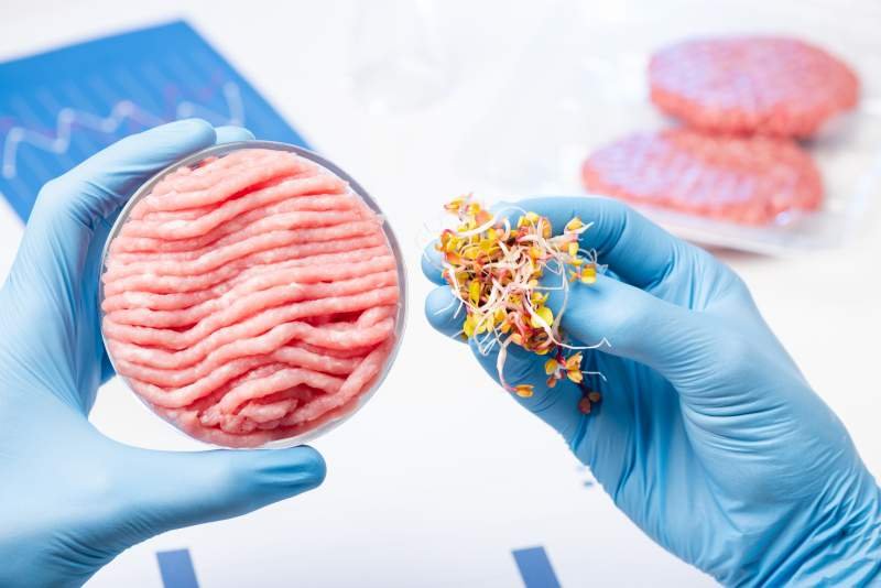 Would You Eat Meat Cultured In A Bio-Reactor?
