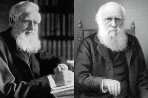 EVOLUTION: Darwin was much more celebrated than Wallace.