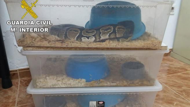 tribunales-condenado-por-tener-e Pet shop manager convicted of selling endangered animals in Spain