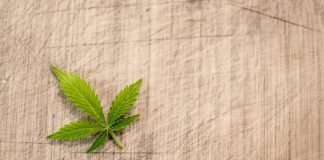 Gibraltar Government publishes Medicinal Cannabis Bill 2021