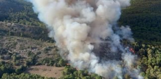 Arsonist jailed for starting 12 forest fires in Catalonia this summer