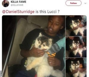 Daniel Sturridge ordered to pay £22k over lost dog
