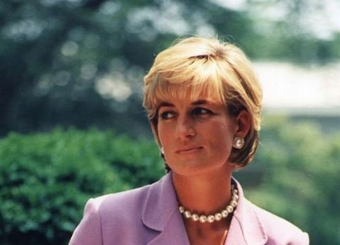 Princess Diana's legacy at risk
