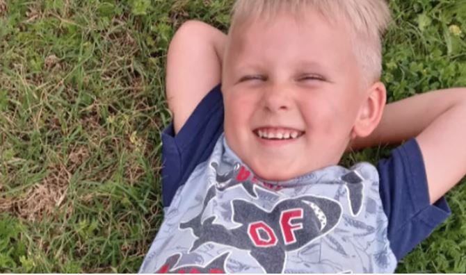 Young boy has entire arm ripped off after 'pit bull pen' mishap