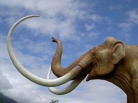 Ice-age mammoths unearthed in the Cotswolds