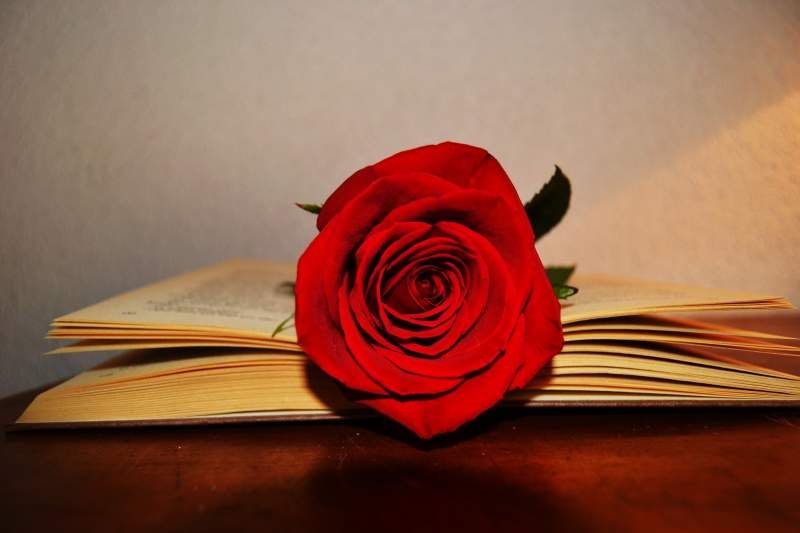 On April 23, Catalans celebrate Saint George's Day with roses and books. 