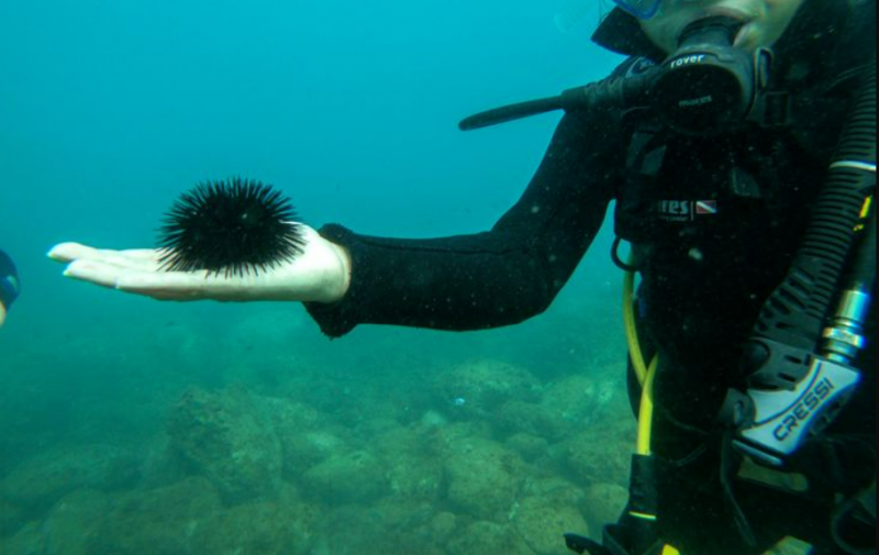 Mudarse a Jávea: la guía definitiva