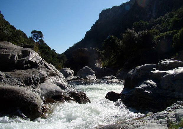 moving to benahavis