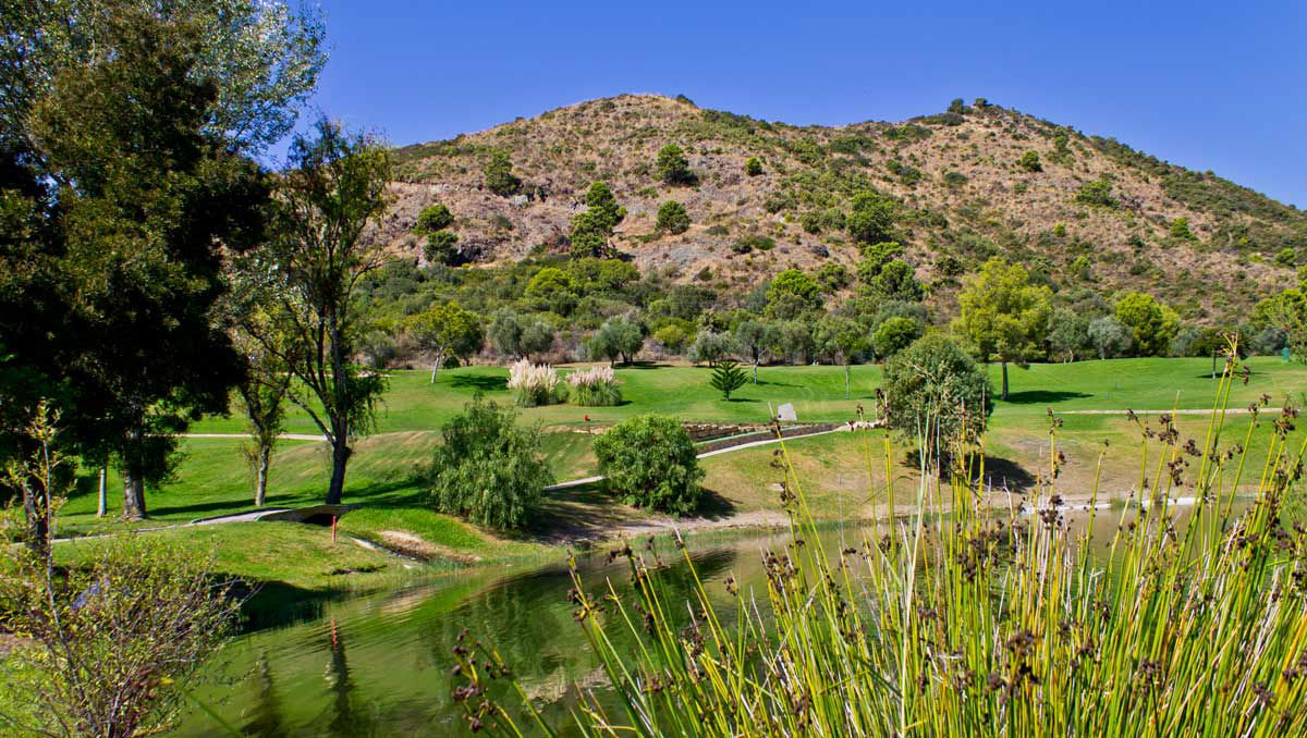 Moving to Benahavis