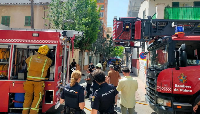 13 German tourists arrested in Mallorca for allegedly setting fire to a bar