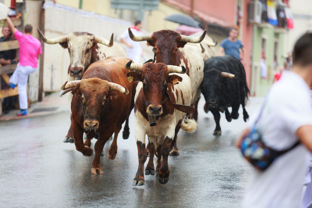 Man dies in running of the bulls event in Toldeo