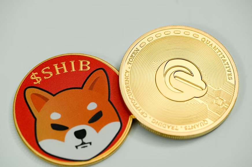Rocketize Token to take off whilst Twitter’s loss buzz causes Shiba Inu to plummet back down.