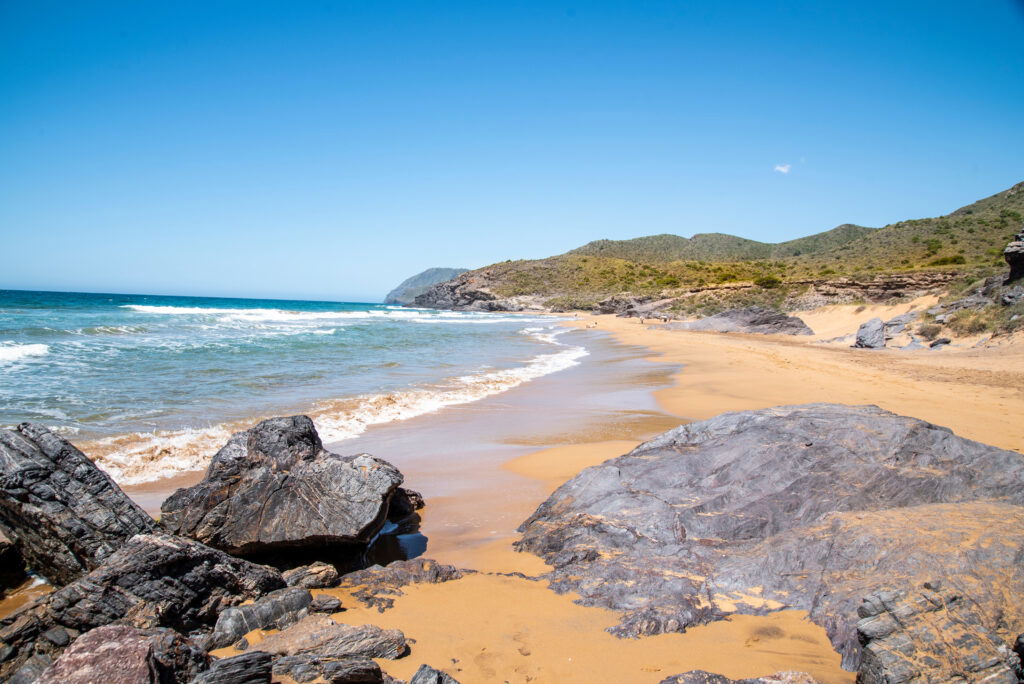 Calblanque formation successful Murcia's Cartagena Euro Weekly News