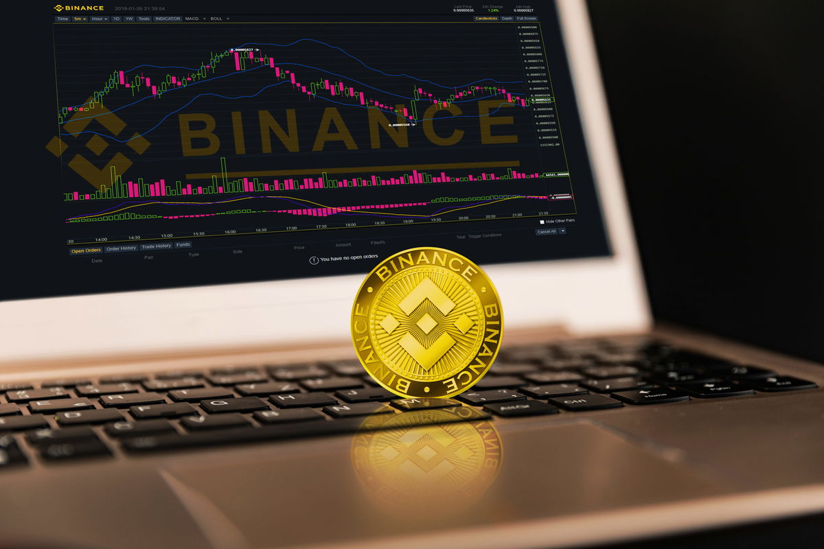 Keep your Eyes on Binance Coin, Shiba Inu and Big Eyes Coin before the next Bull Market Keep your Eyes on Binance Coin, Shiba Inu and Big Eyes Coin before the next Bull Market
