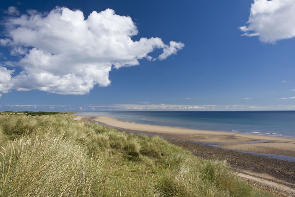 POLLUTION ALERT: Warnings issued in UK to avoid THESE beaches due to sewage leak  