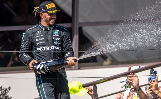 Former F1 world champion fined over $950,000 for RACIST comments against Lewis Hamilton  