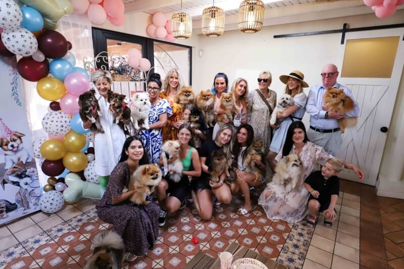 Los amantes del pomerania en Marbella celebran por todo lo alto los cumpleaños de sus mascotas «Euro Weekly News